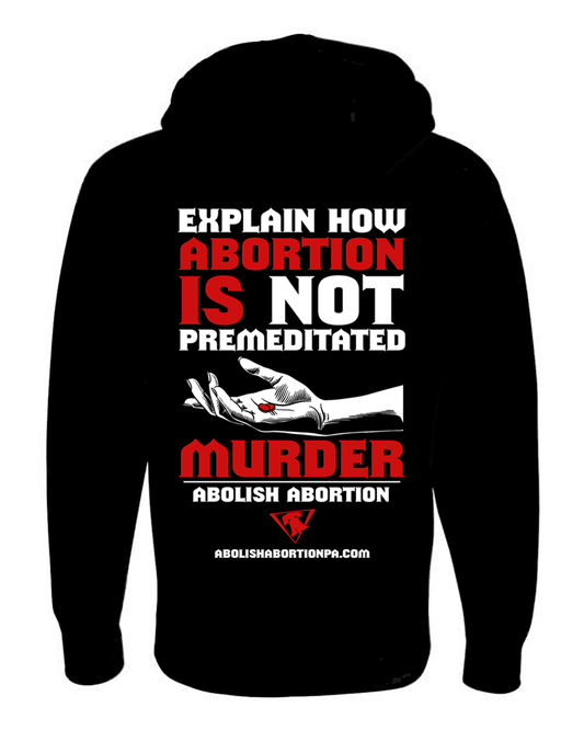 Explain (2 Color) Hoodie